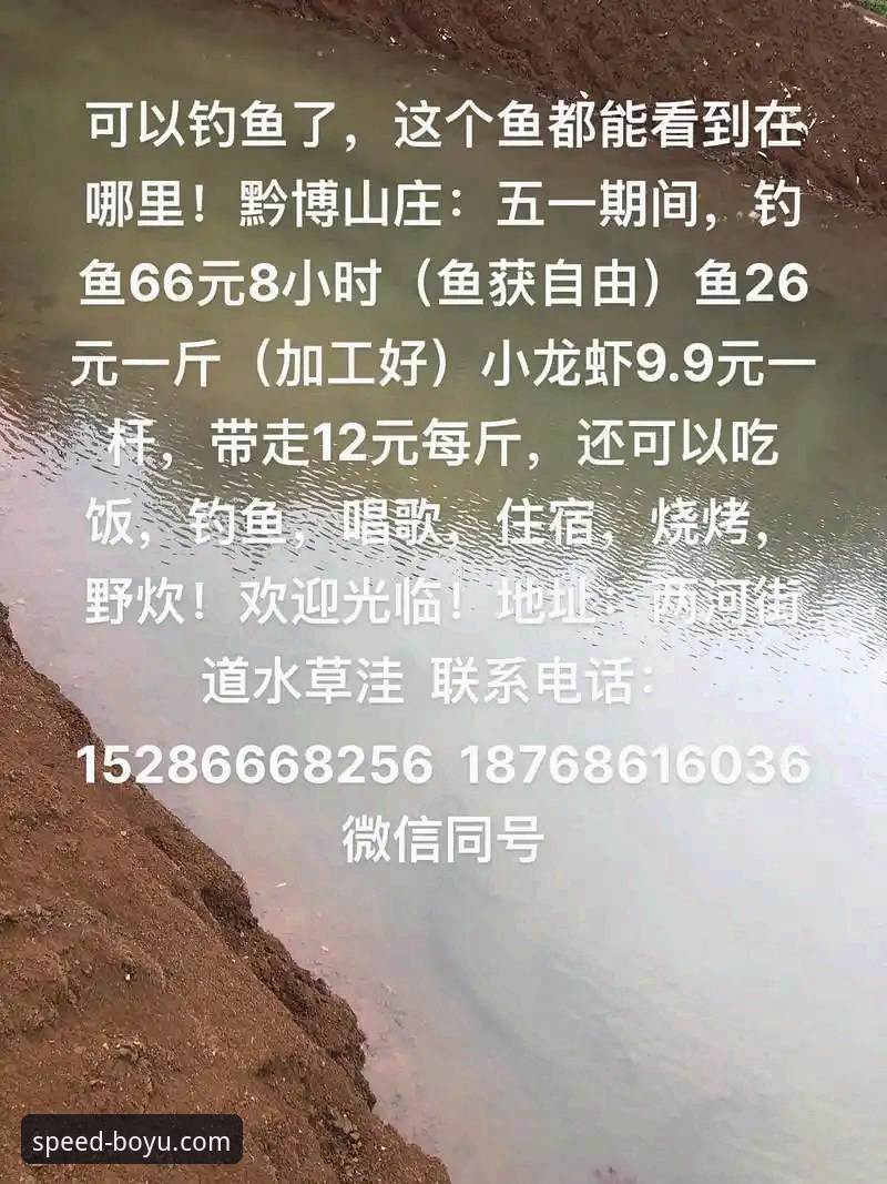 博鱼官网平台PC版深度评测：从安装到使用，技术角度的全面分析